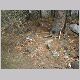 DSCF0021.AVI