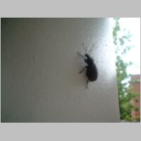 DSCF0005.JPG