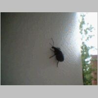 DSCF0006.AVI