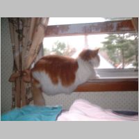 DSCF0005.JPG
