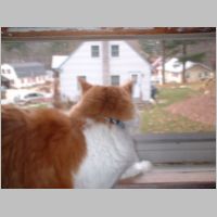 DSCF0006.JPG