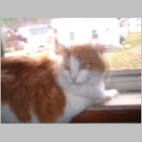 DSCF0007.JPG