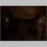 DSCF0009.AVI