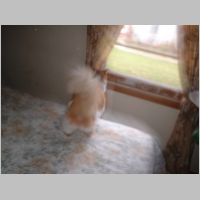 DSCF0010.JPG