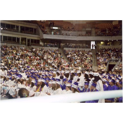 14-large.jpg