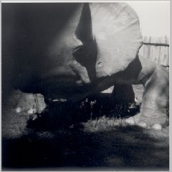 p030.jpg