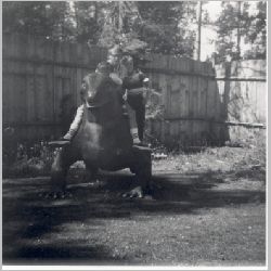 p034.jpg