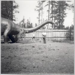 p035.jpg