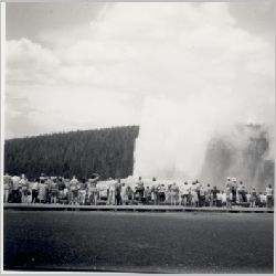p038.jpg