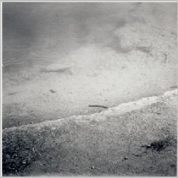 p041.jpg