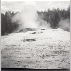 p047.jpg