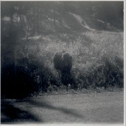 p063.jpg