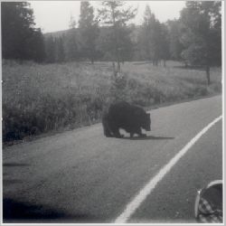 p064.jpg
