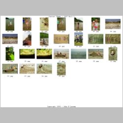 Contact_Sheet_-_1997-03.jpg