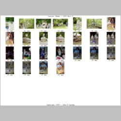Contact_Sheet_-_1999-05.jpg