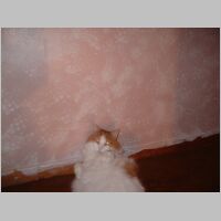 DSCF0001.JPG