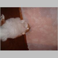 DSCF0003.JPG