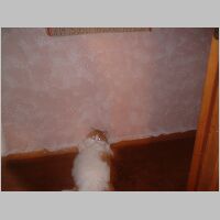 DSCF0005.JPG