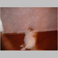 DSCF0006.JPG