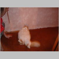 DSCF0007.JPG