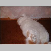 DSCF0009.JPG