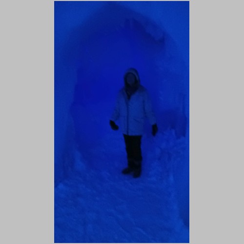 #ALT_TXT#